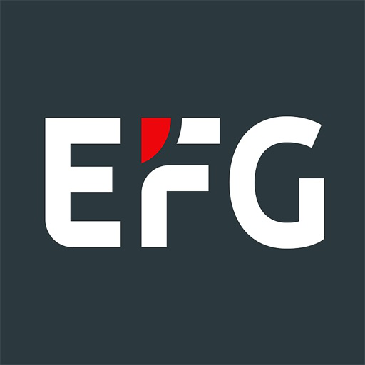 EFG Bank - Connect to Google Sheets | MoneySheets