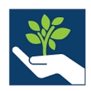 Precision Federal Credit Union - Connect to Google Sheets | MoneySheets